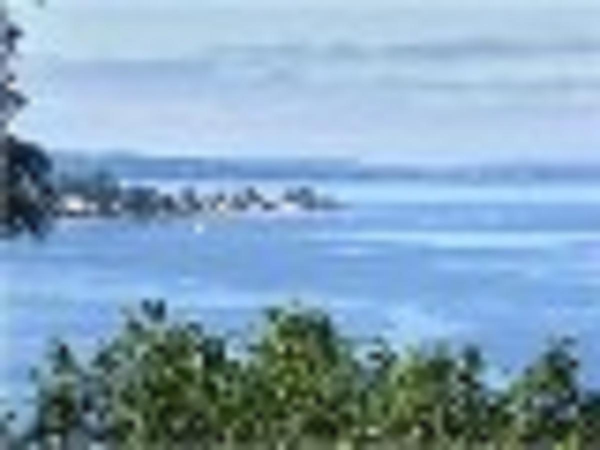 Sea To Sky Burien